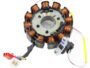 TVS PHOENIX BS6 COIL PLATE ASSEMBLY (12 POLL) 2+2+1 PIN